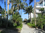 Naples Beach Hotel - Walk with Coconuts